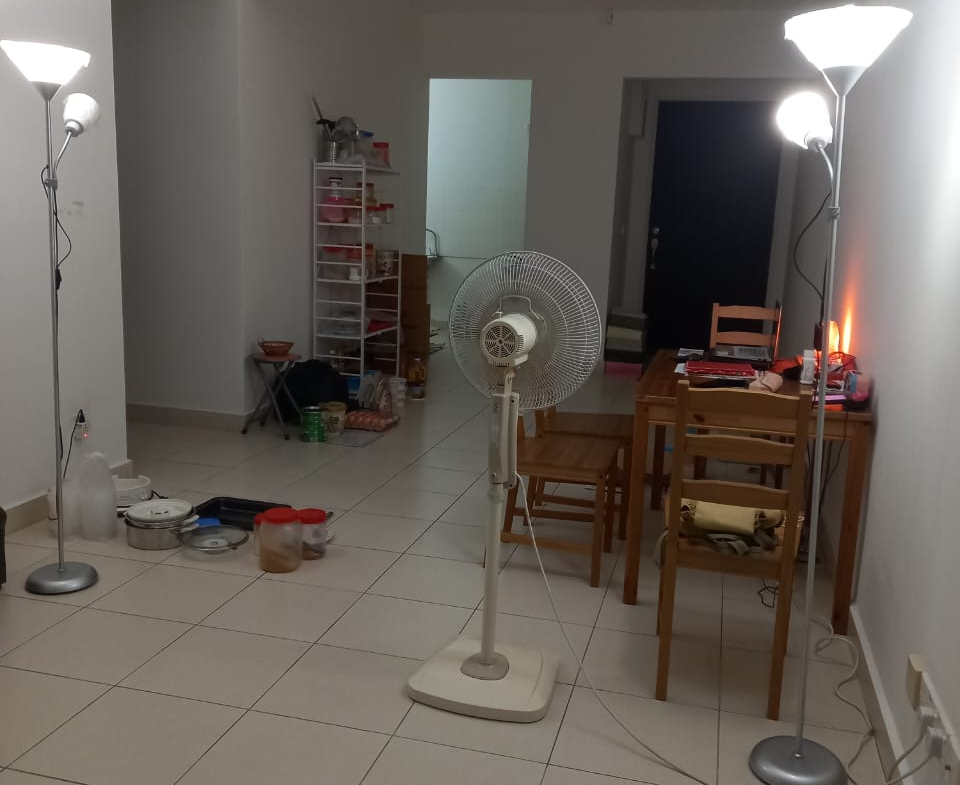 960